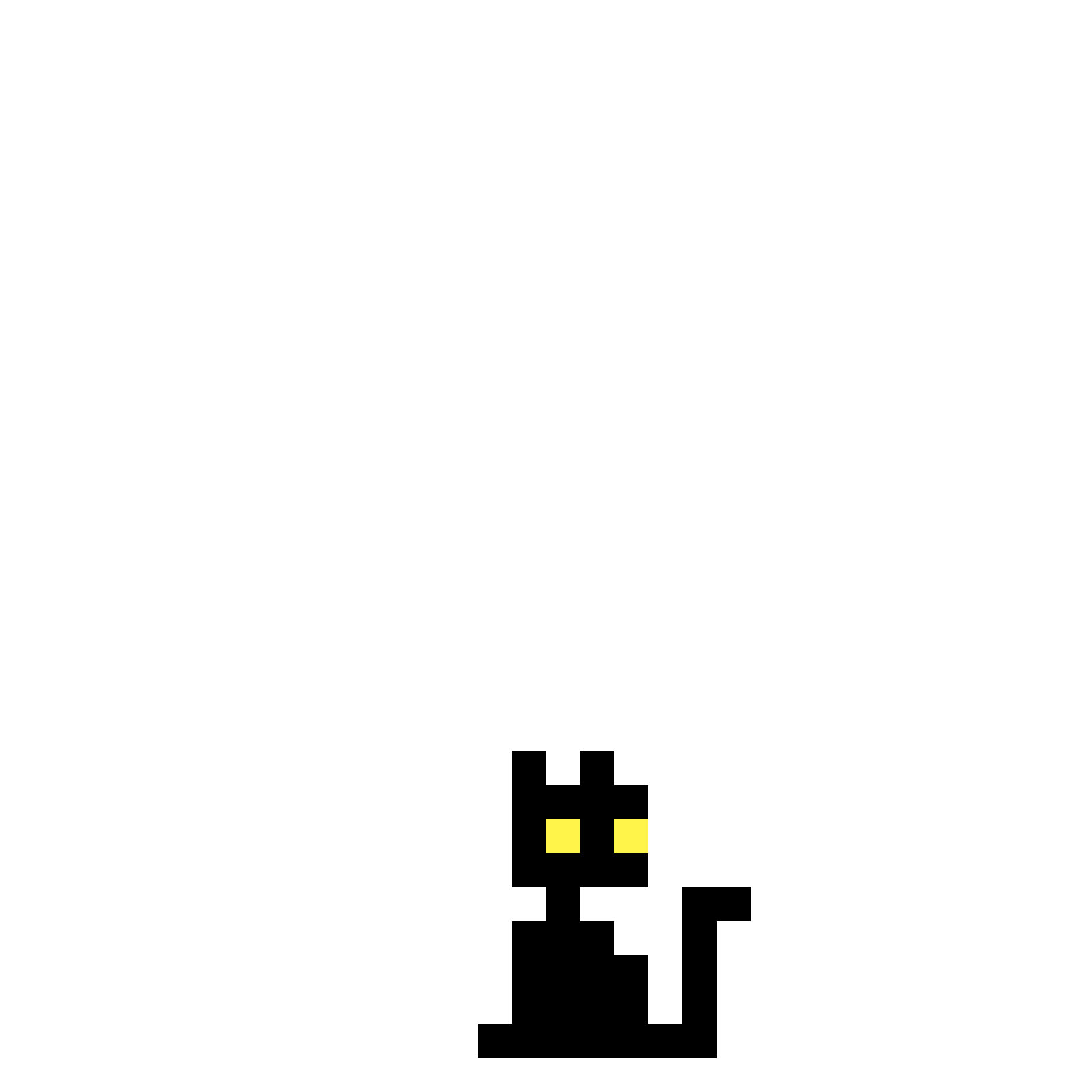 accessories black-cat