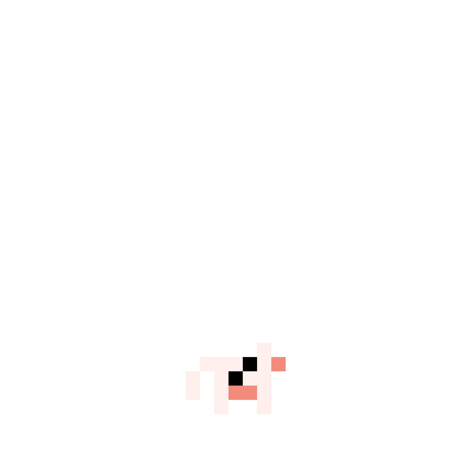 accessories cow