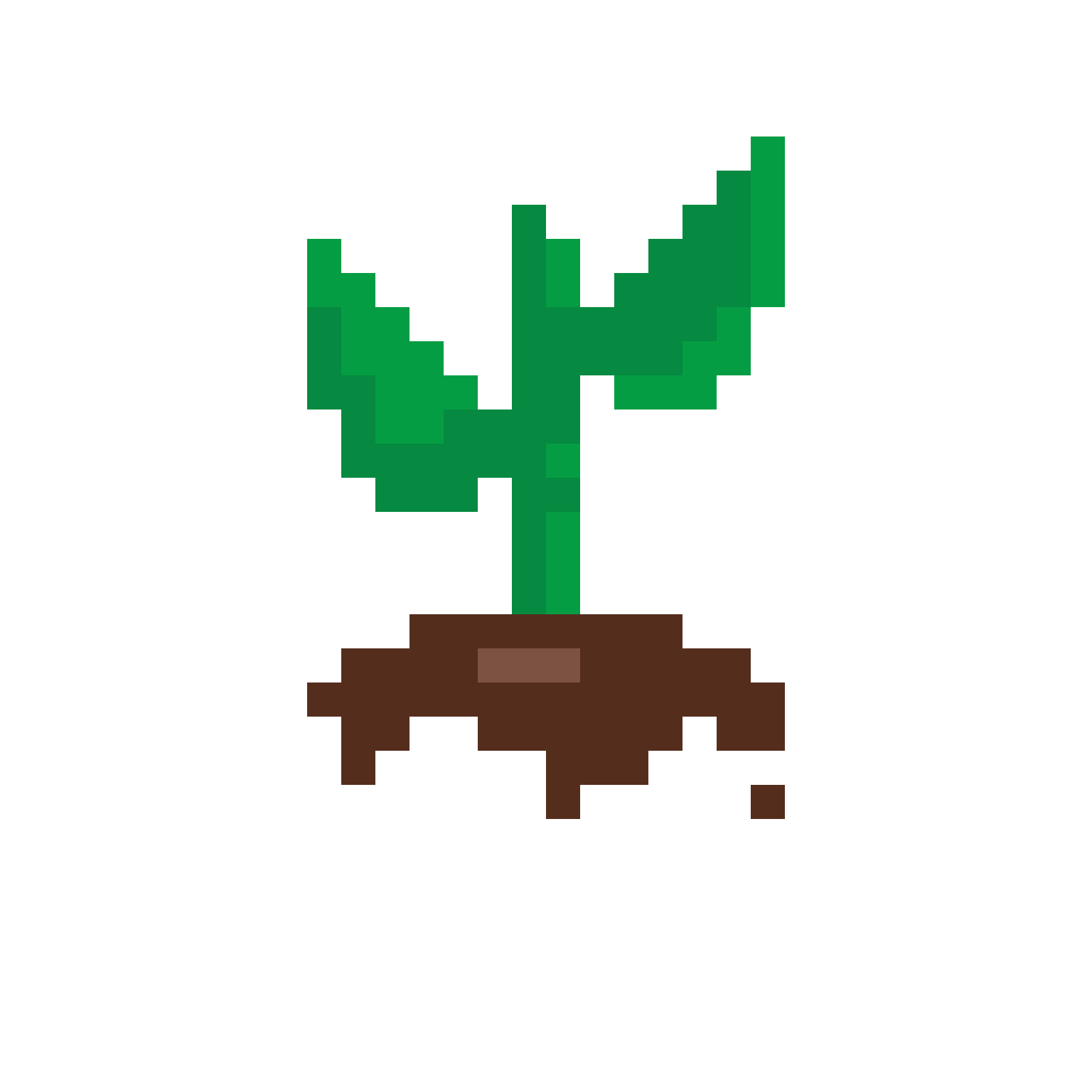 heads plant