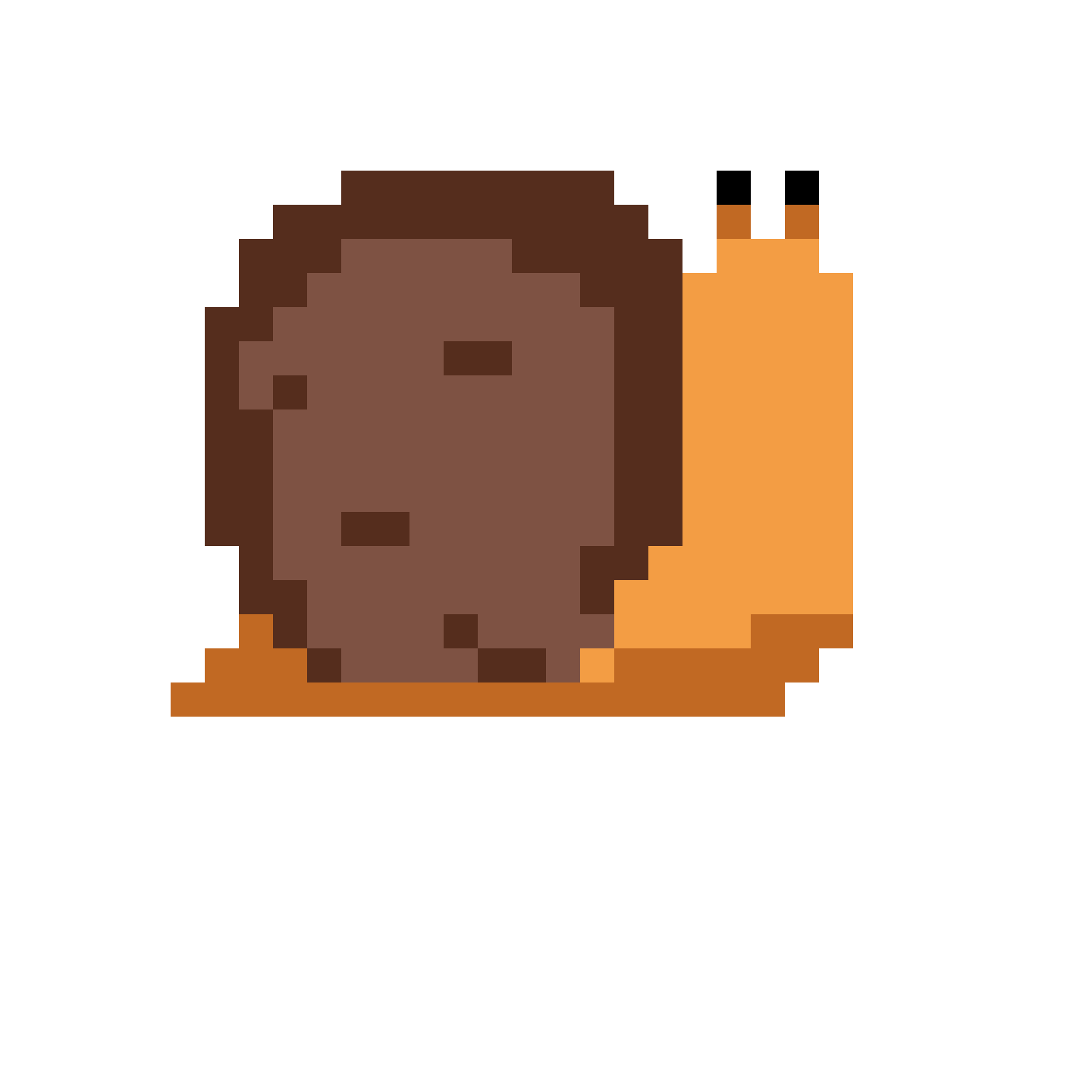 heads snail